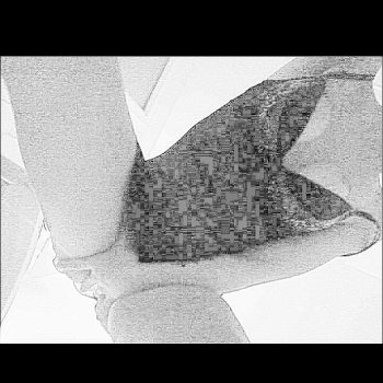 Felisa - Morlon - Fribourg | Rencontre Mature