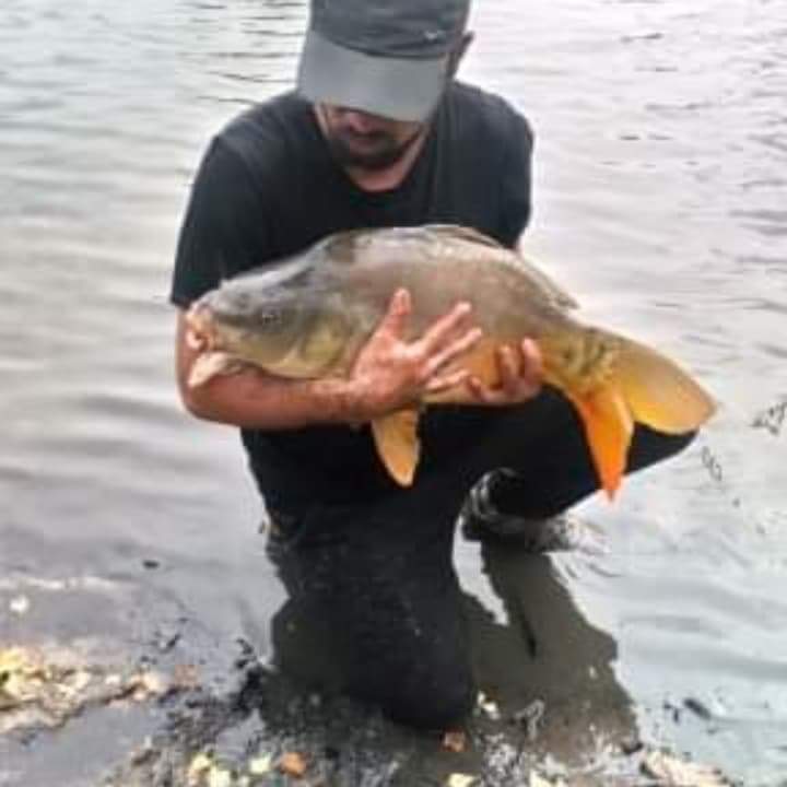 Fereol - Miex - Valais | Rencontre Mature